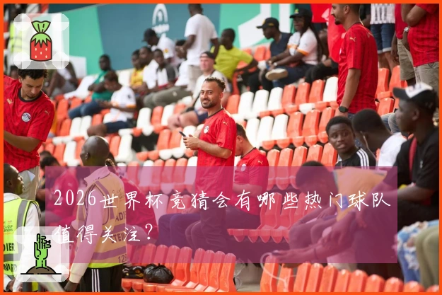 2026世界杯竞猜会有哪些热门球队值得关注？