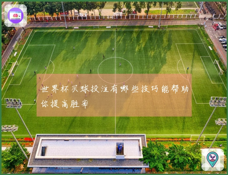世界杯买球投注有哪些技巧能帮助你提高胜率