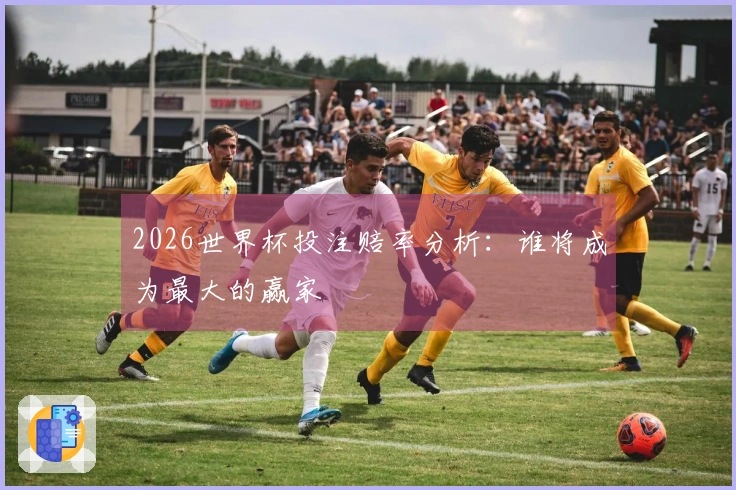 2026世界杯投注赔率分析：谁将成为最大的赢家