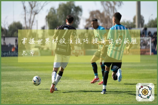 掌握世界杯投注技巧 提高你的获胜几率