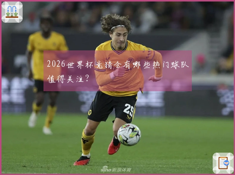 2026世界杯竞猜会有哪些热门球队值得关注？