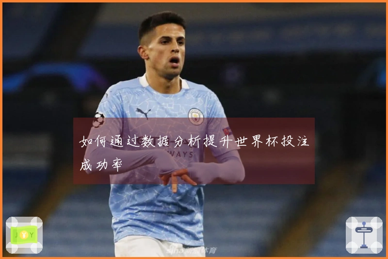 如何通过数据分析提升世界杯投注成功率