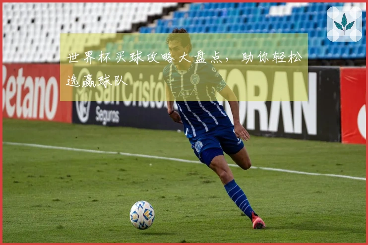 世界杯买球攻略大盘点，助你轻松选赢球队