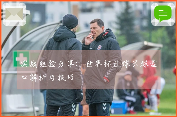 实战经验分享：世界杯让球买球盘口解析与技巧