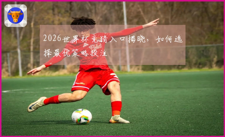 2026世界杯竞猜入口揭晓，如何选择最优策略投注