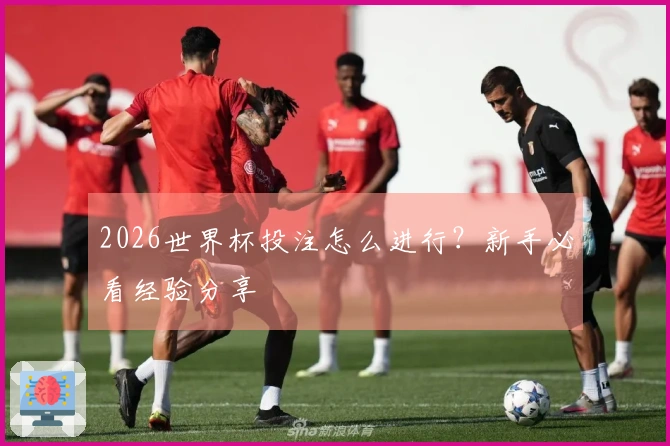 2026世界杯投注怎么进行？新手必看经验分享