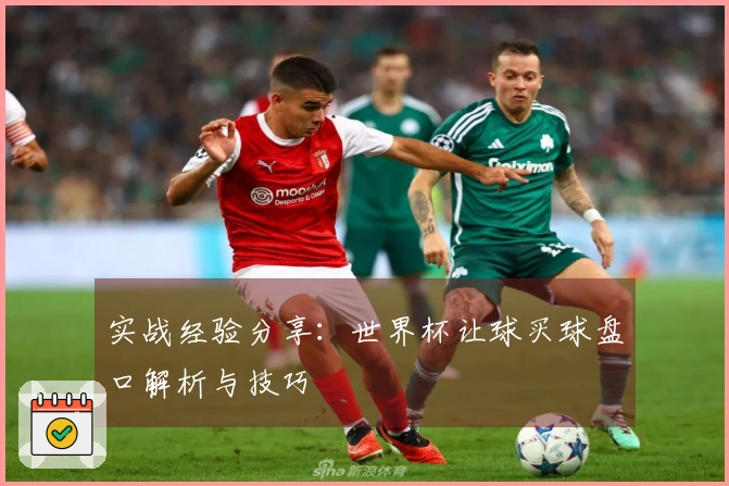 实战经验分享：世界杯让球买球盘口解析与技巧