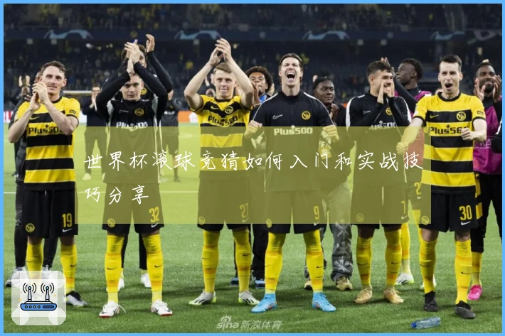 世界杯滚球竞猜如何入门和实战技巧分享
